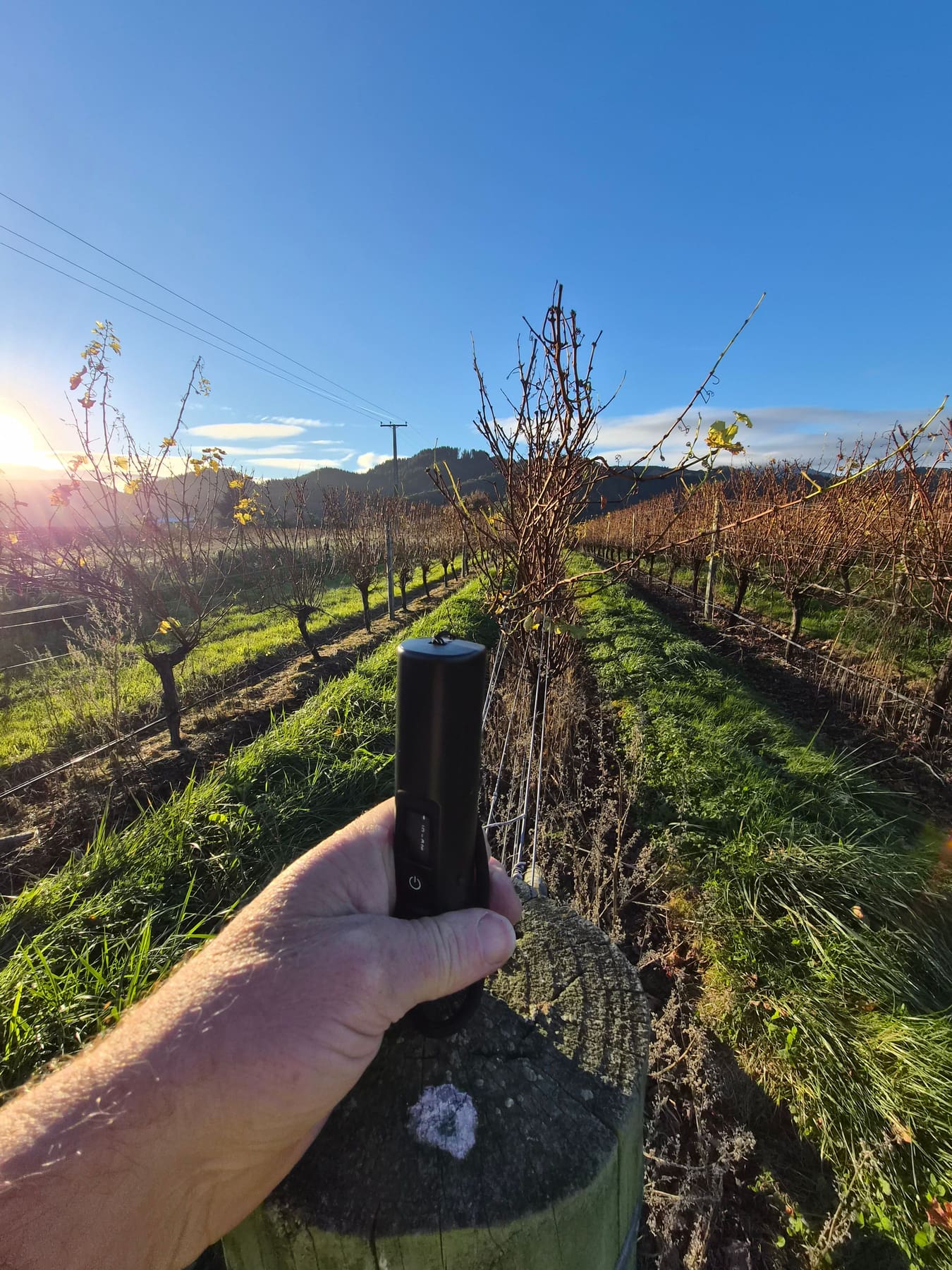 Mapping a Marlborough vineyard row to 2cm with the Archer mapping wand